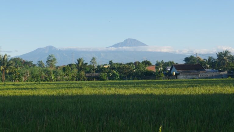 Discover Southern Bali Top Attractions and Exclusive Tour De