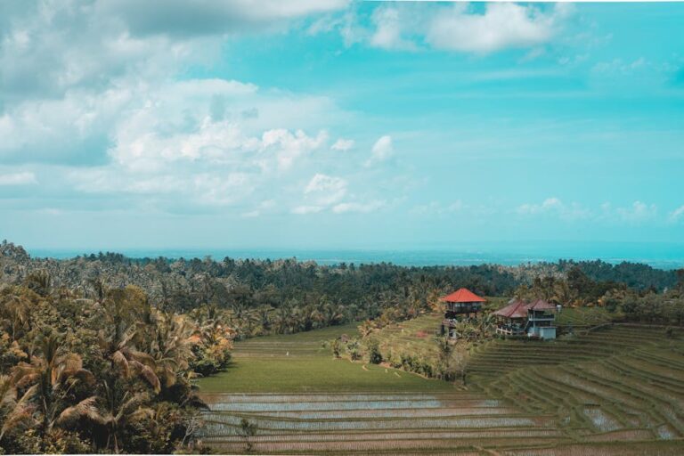 Discover Ubud Bali Your Ultimate Packing Guide for June Jul