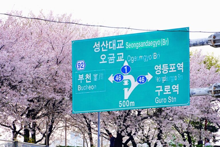 경상남도 여름 국내여행 추천! 가족과 함께 가볼 만한 핫플레이스 5곳