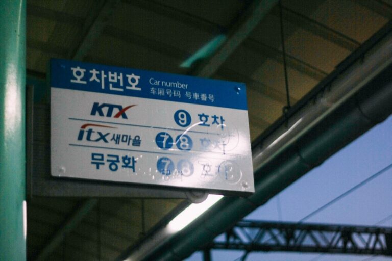 아이와 함께한 강원도 여행 2박3일, 평창과 강릉의 특별한 순간들!